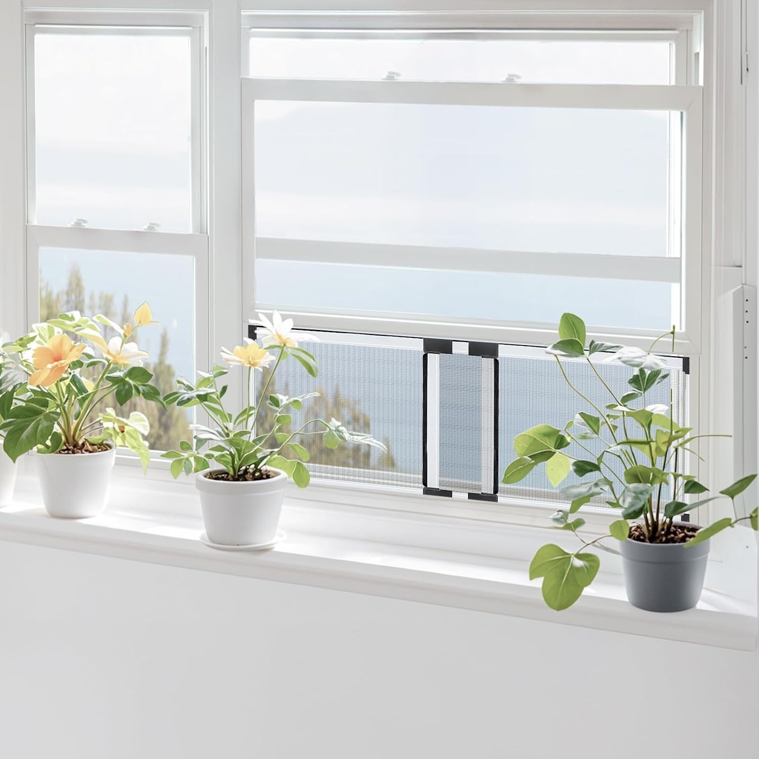 Adjustable Window Screen Small 10 Inch (2 Pack): image 7