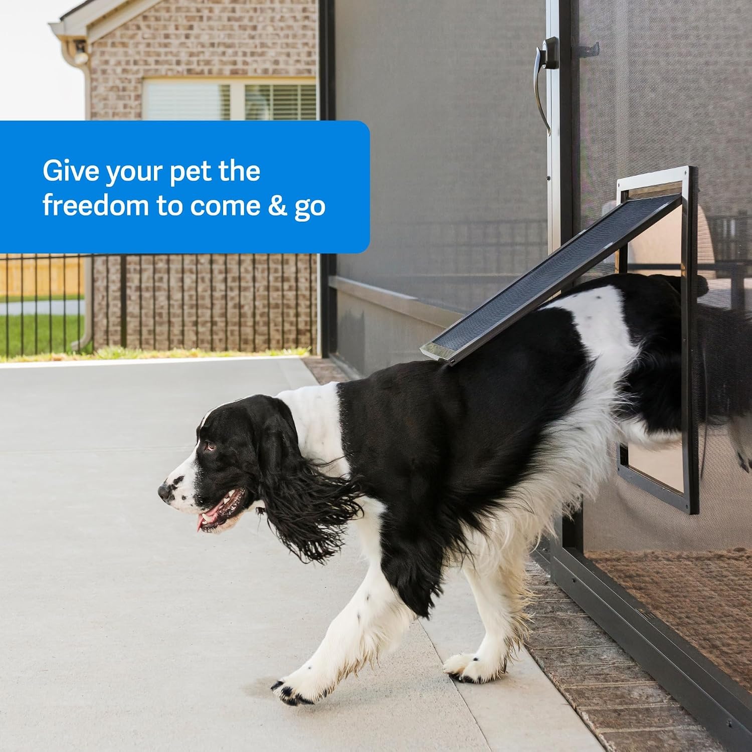 PetSafe Small Pet Screen Door: image 2